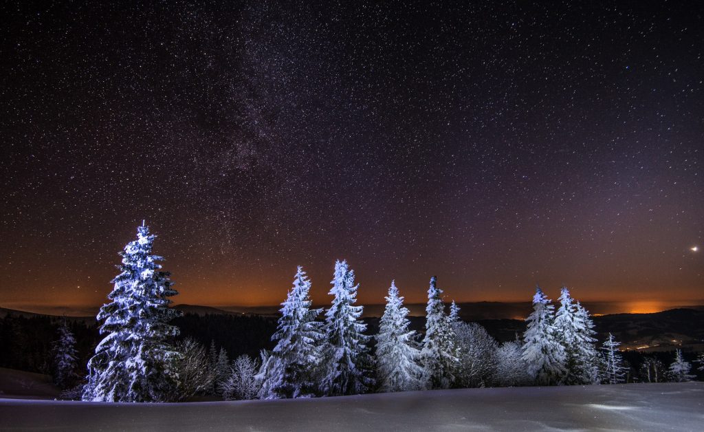 Mesmerizing night landscape snowy fir trees